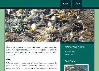 Website Explorer Grup SRL