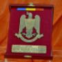 Încărcat de vizitator în 06.02.2017  - PLACHETE PENSIONARE MAPN,MAI
