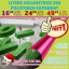 Oferta litere volumetrice