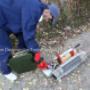 Pregatire Dezinsectie2