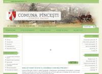 Primăria Pînceşti