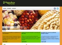 Website SANARA S.R.L