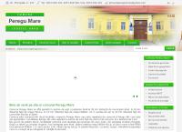 Website Primăria Peregu Mare