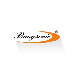 SC Bangsonic SRL