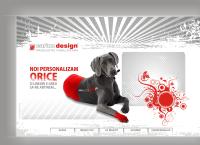Website S.c. Carion Design S.r.l.