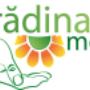 Gradina Mea