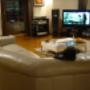 Amenajare de design zona living