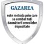 GAZARE CEREALE