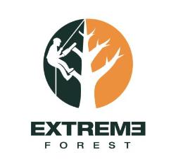 Extreme Forest