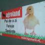 Banner Poliplan/Mesh Printat