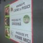 Banner Poliplan/Mesh Printat