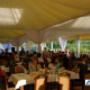 COMPANY GRILL PARTY
