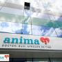 Clinicile Anima
