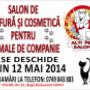 Alti Pet Salon
