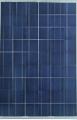 Poly Module Solare