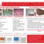 Flyere/reclame