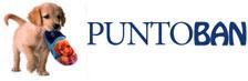SC Puntoban SRL