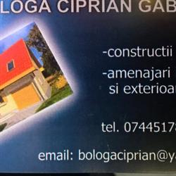 bologa ciprian gabriel pfa