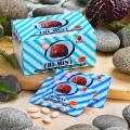 Zhi-Mint-Plus