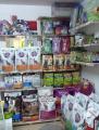 Dolly - petshop