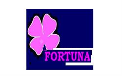 Scoala Postliceala Fortuna