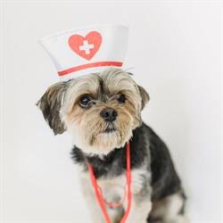 Farmacie Veterinara Mari Marc
