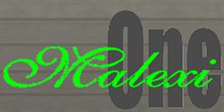 MALEXI ONE S.R.L.