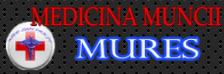 Med San Prest Srl
