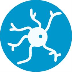 NEURONIC TRADE S.R.L.