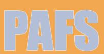 P.A.F.S. S.R.L.