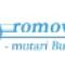 RoMove-mutari-Bucuresti