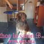 Athos la salon Bafy