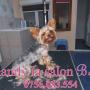 Chamly la salon Bafy