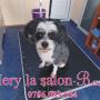Mery la Salon Bafy