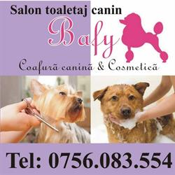 Sc Bafy Serv Srl