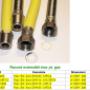 Extensibile inox pt. GAZ