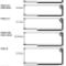 sectiune-profil-inox