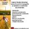 Topografie