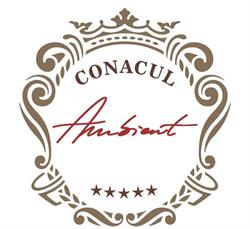 Conacul Ambient