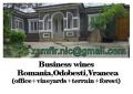 Ferma-household+business wines(house+land+living+forest)&Ferma-gospodarie+business vin(vie+padure+teren+casa)RomaniaOdobesti