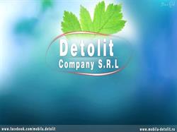 detolit company