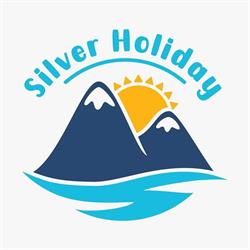 Silver Holiday