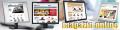 Magazin online