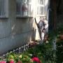 Încărcat de vizitator în 16.09.2015 