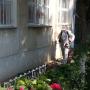 Încărcat de vizitator în 16.09.2015 