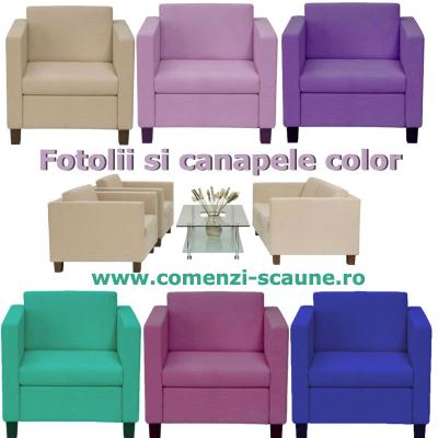 Fotolii-si-canapele-tapit