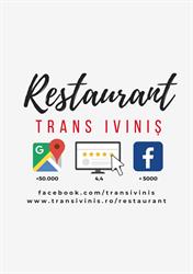 TRANS IVINIS & CO SRL