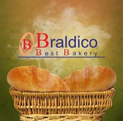 BRALDICO SRL