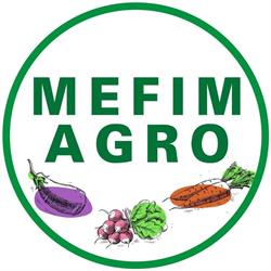 Mefim Agro SRL - Depozit central