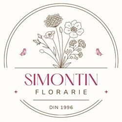 SIMONTIN SRL
